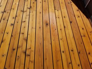 Deck Staining in Leawood, KS (1)